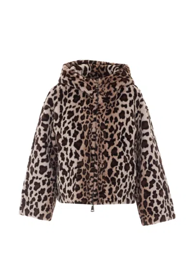 Lou Andrea Leopard-print Reversible Jacket In Brown