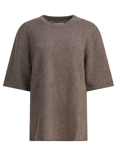 Lou Lou De Saison "raven" Crewneck Sweater In Wool Blend In Brown
