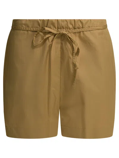 Lou Lou De Saison Shorts In Brown