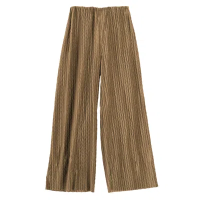 Louche Women's Neutrals Melvin Velvet Pleat Trouser - Pale Taupe In Brown