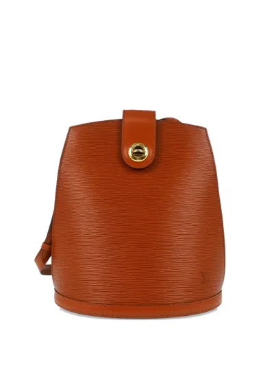 Pre-owned Louis Vuitton 1995 Epi Cluny Shoulder Bag