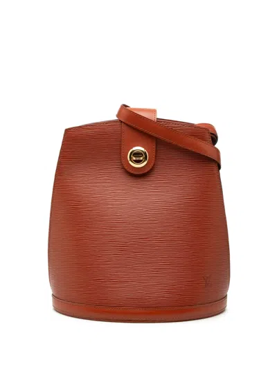Pre-owned Louis Vuitton 1995 Epi Cluny Shoulder Bag In Brown