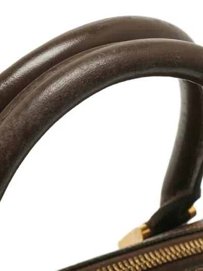 Pre-owned Louis Vuitton 2002 Ribera Mm Tote Bag In Brown