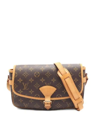 Pre-owned Louis Vuitton 2003 Small Sologne Monogram Shoulder Bag In Brown