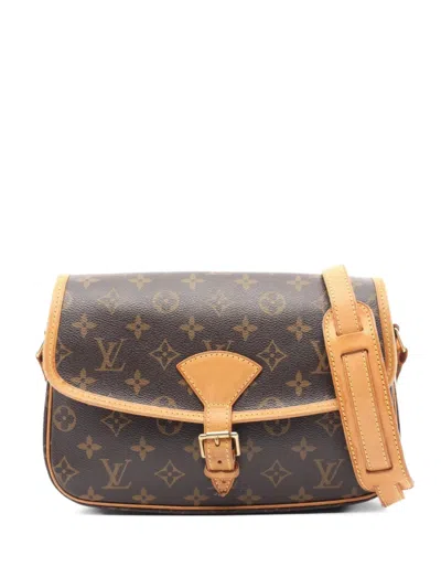 Pre-owned Louis Vuitton 2009 Sologne Shoulder Bag In Brown