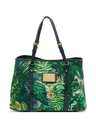 Pre-owned Louis Vuitton 2011 Pm Cabas Aventure Ailleurs Tote Bag In Green