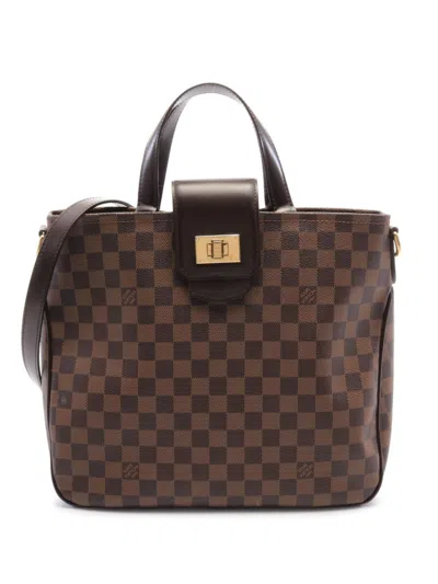 Pre-owned Louis Vuitton 2012 Hippopotamus Tote Bag In Brown