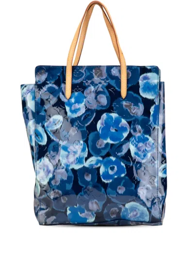Pre-owned Louis Vuitton 2013 Monogram Vernis Ikat Catalina Handbag In Blue