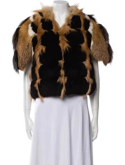 Pre-owned Louis Vuitton 2017 Fox Fur Jacket