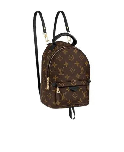 Pre-owned Louis Vuitton 2020  Mini Palm Springs Backpack In Brown