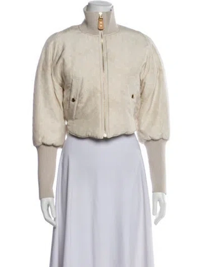 Pre-owned Louis Vuitton 2024 Cloud Bomber Jacket In Neutral