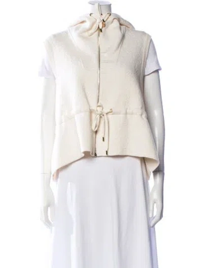Pre-owned Louis Vuitton 2024 Wool Vest In Neutral