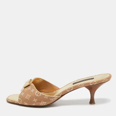 Pre-owned Louis Vuitton Brown Mini Lin Canvas Bow Slide Sandals Size 36.5