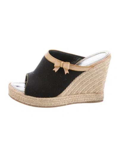 Pre-owned Louis Vuitton Canvas Espadrilles In Black