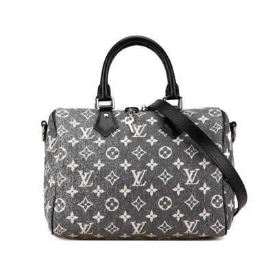 Pre-owned Louis Vuitton Canvas Leather Handbag Shoulder Bag () In Grey