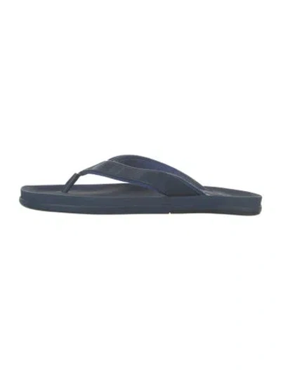 Pre-owned Louis Vuitton Damier Ebene Pattern Rubber Flip Flops In Blue