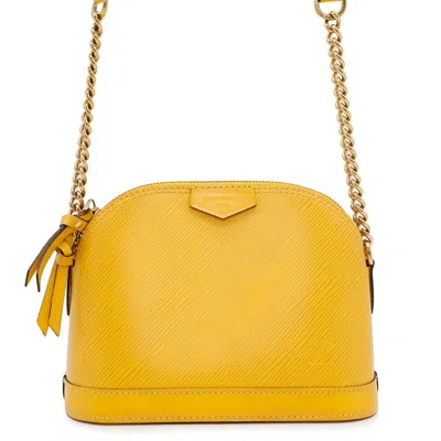 Pre-owned Louis Vuitton Epi Citron Epi Leather Shoulder Bag () In Yellow
