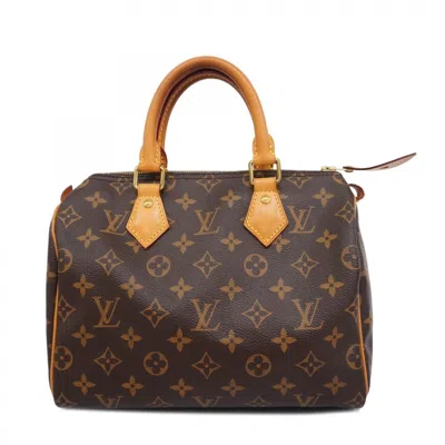 Pre-owned Louis Vuitton Handbag () In Brown