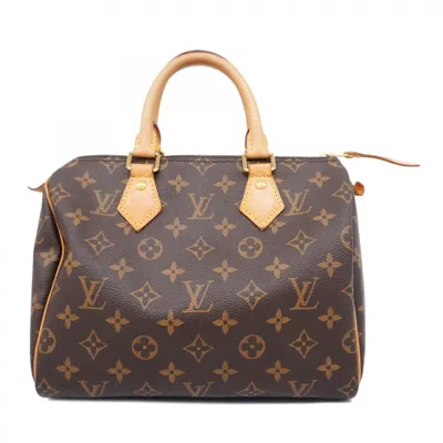 Pre-owned Louis Vuitton Handbag () In Brown