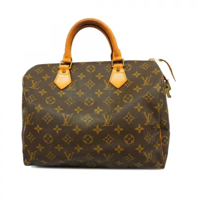 Pre-owned Louis Vuitton Handbag () In Brown