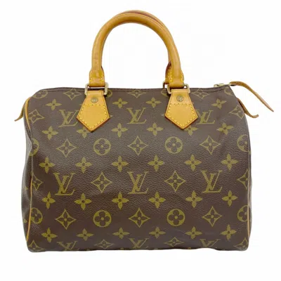 Pre-owned Louis Vuitton Handbag () In Brown