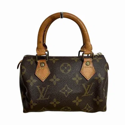 Pre-owned Louis Vuitton Handbag () In Brown