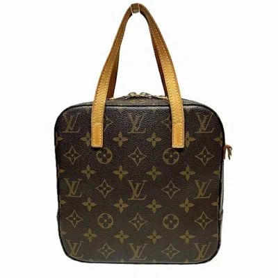 Pre-owned Louis Vuitton Handbag () In Brown