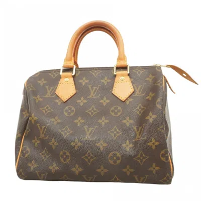 Pre-owned Louis Vuitton Handbag () In Brown
