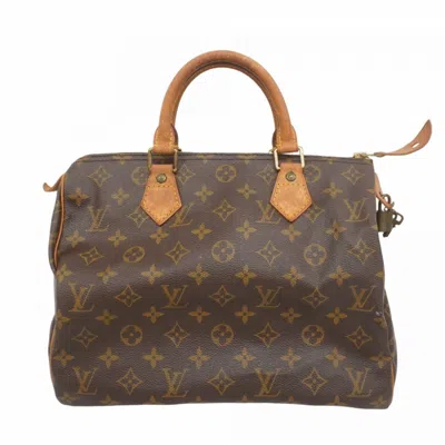 Pre-owned Louis Vuitton Handbag () In Brown