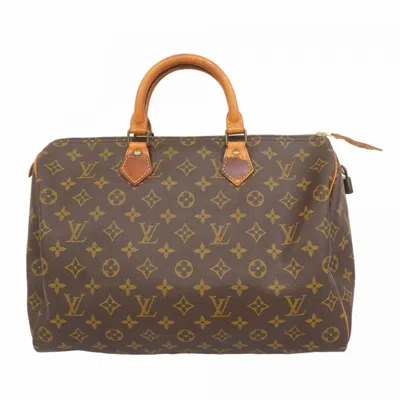 Pre-owned Louis Vuitton Handbag () In Brown