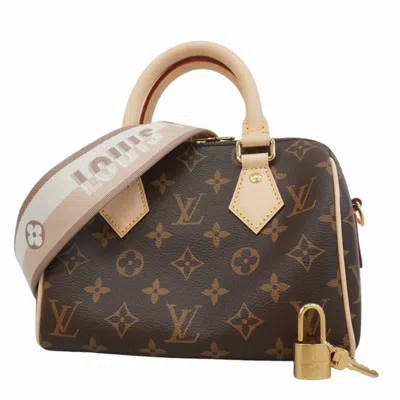 Pre-owned Louis Vuitton Handbag () In Multi