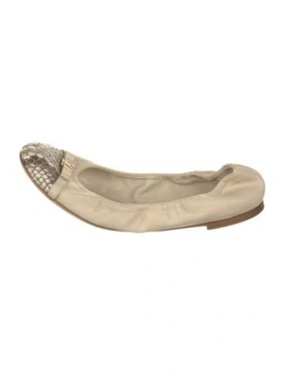 Pre-owned Louis Vuitton Leather Animal Print Ballet Flats In Neutrals
