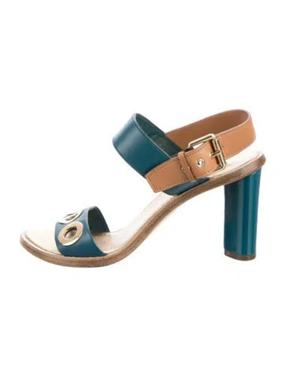 Pre-owned Louis Vuitton Leather Sandals In Blue/brown