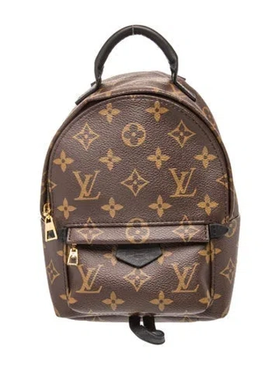 Pre-owned Louis Vuitton Lv Monogram Palm Springs Mini In Brown