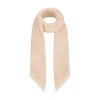 Louis Vuitton Lv Rise Stole