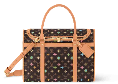 Pre-owned Louis Vuitton Men's  By Tyler, The Creator Dog Bag In Chocolate Craggy Monogram In Brown