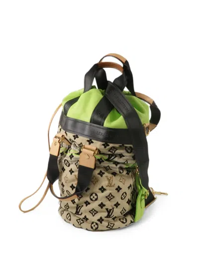 Louis Vuitton Monogram Cheche Gypsy Pm Shoulder Bag In Green