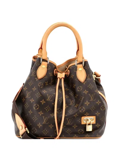 Pre-owned Louis Vuitton Neo Shoulder Bag Monogram Canvas Satchel In Brown