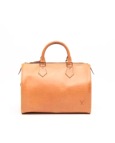 Pre-owned Louis Vuitton Nomad Speedy 30 Bag In Brown