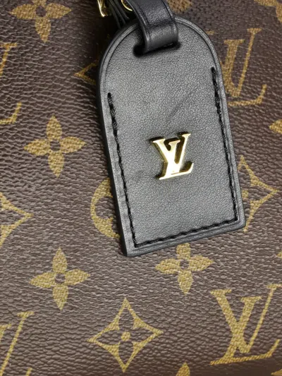 Pre-owned Louis Vuitton Odeon Nm Handbag Monogram Canvas Pm Crossbody Bag In Brown