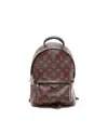 Louis Vuitton Palm Springs Pm Backpack In Multi