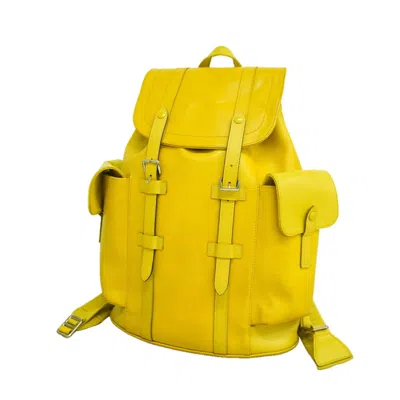 Pre-owned Louis Vuitton Pistache Backpack ()