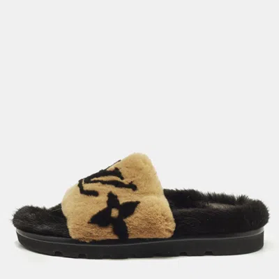 Pre-owned Louis Vuitton Pool Pillow Size 40 Brown Mink Fur Slide Sandals