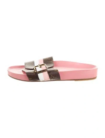 Pre-owned Louis Vuitton Printed Slides In Brown