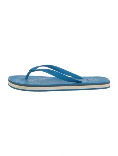 Pre-owned Louis Vuitton Rubber Graphic Print Flip Flops In Blue