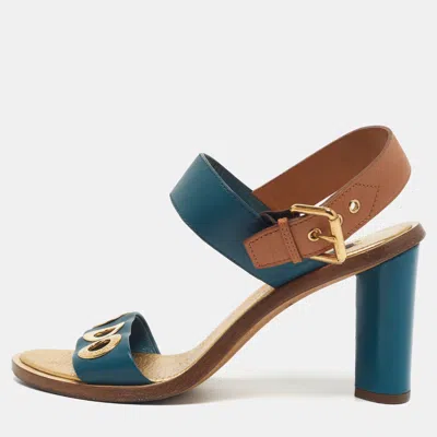 Pre-owned Louis Vuitton Size 39 Blue/brown Leather Ankle Strap Sandals