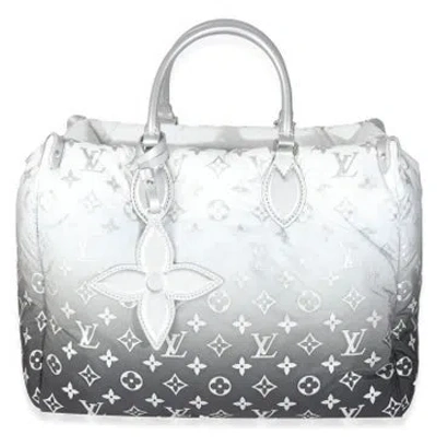 Pre-owned Louis Vuitton Ski Canvas Onthego Mm In Gray