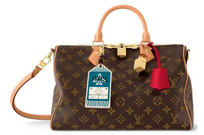 Pre-owned Louis Vuitton Speedy Soft 30 Crafty