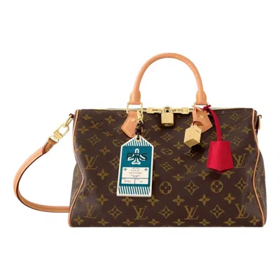 Louis Vuitton Speedy Soft 30 Crafty 'monogram'