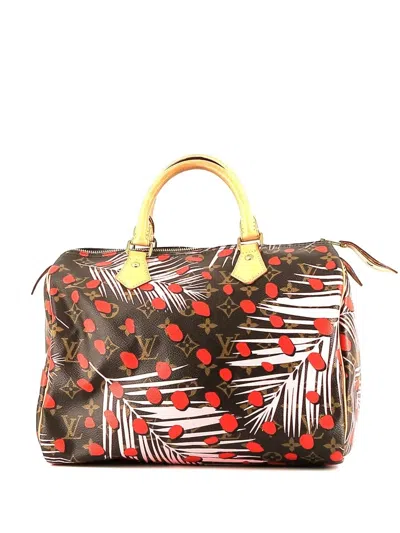Pre-owned Louis Vuitton X Takashi Murakami  Speedy 30 Handbag In Brown